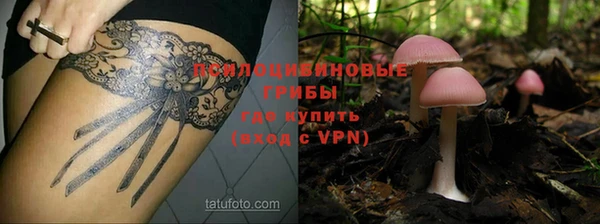 стафф Гусь-Хрустальный