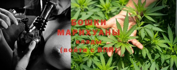 СК Вязьма