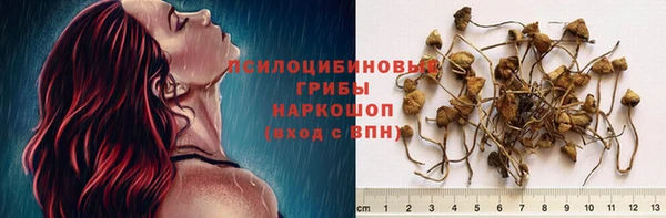 гашик Строитель