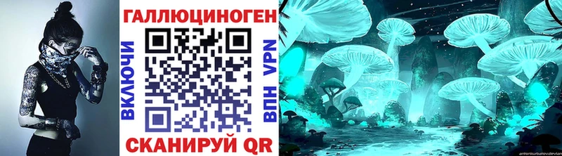 мега как зайти где продают Жуков Псилоцибиновые грибы Cubensis